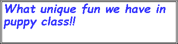 Text Box: What unique fun we have in puppy class!!